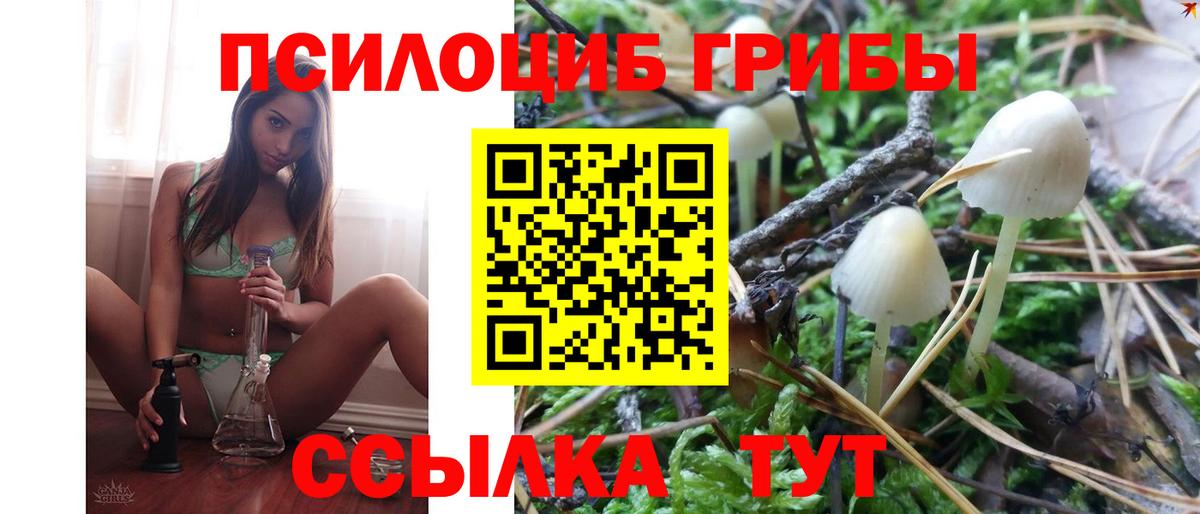 Галлюциногенные грибы мухоморы  Псилоцибиновые грибы Psilocybe  Вход с VPN  Карачаевск 